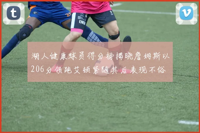 湖人健康球员得分榜揭晓詹姆斯以206分领跑艾顿紧随其后表现不俗