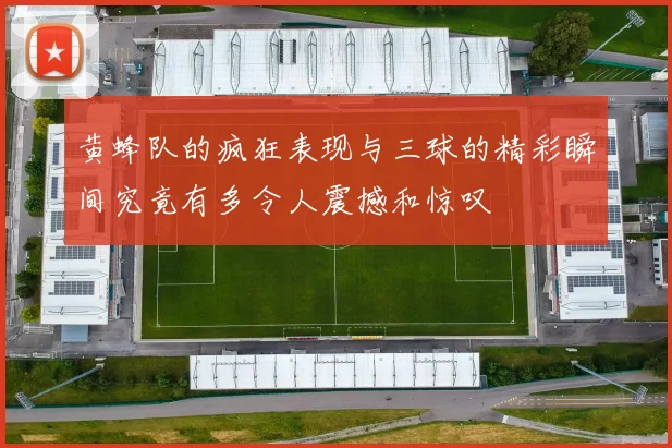 黄蜂队的疯狂表现与三球的精彩瞬间究竟有多令人震撼和惊叹