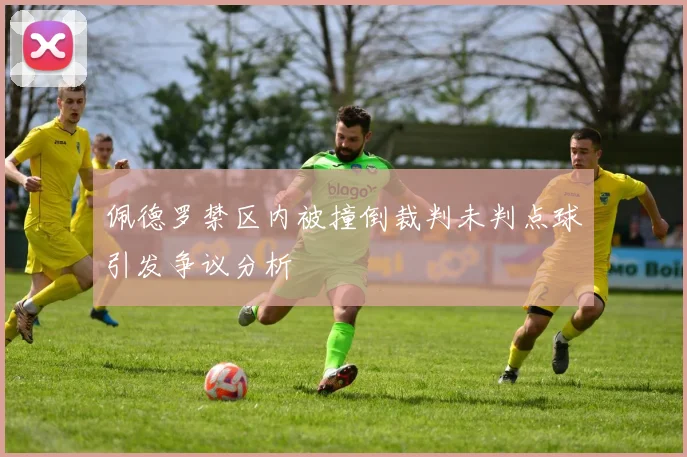 佩德罗禁区内被撞倒裁判未判点球引发争议分析